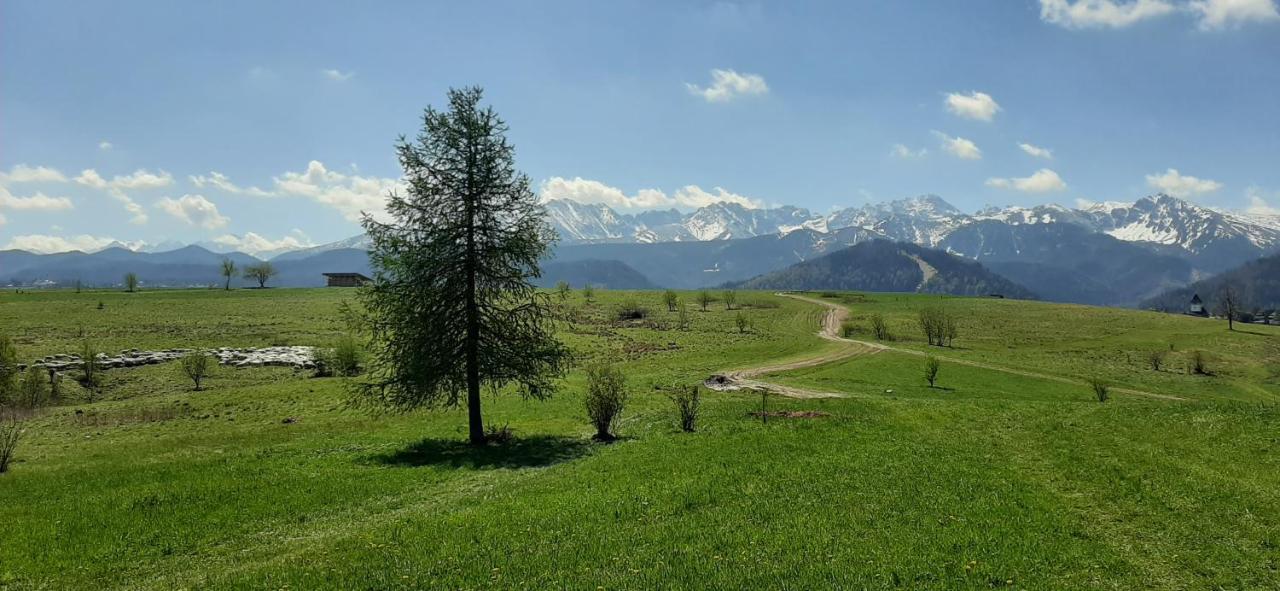 Pokoje Goscinne Przeklasa Pawel Zakopane Exterior foto