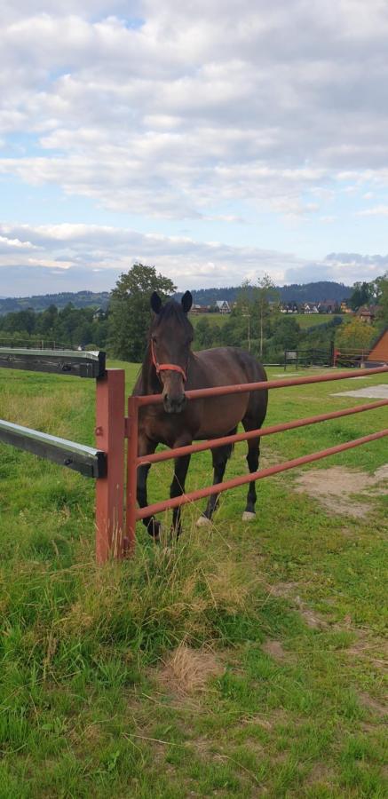 Pokoje Goscinne Przeklasa Pawel Zakopane Exterior foto